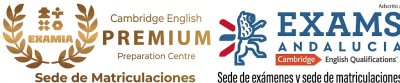 ACADEMIA INGLES CAMBRIDGE GRANADA 3