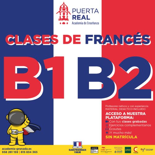 clases de francés b1 b2 academia clases online